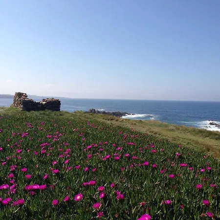 別荘 Eldorado-mascotas Bienvenidas *