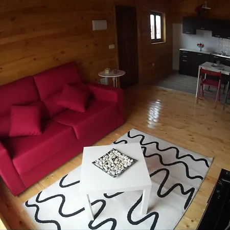 Eldorado-mascotas Bienvenidas