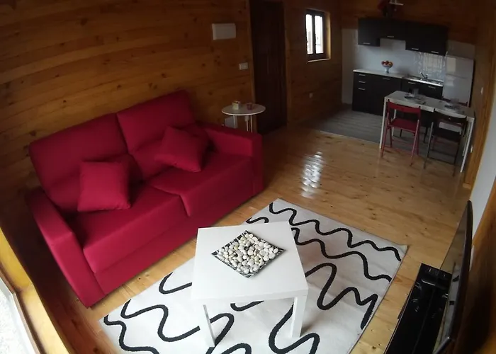 Eldorado-mascotas Bienvenidas