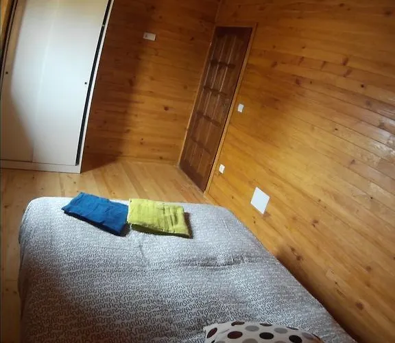 Eldorado-mascotas Bienvenidas